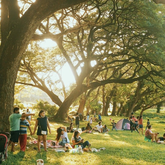Plan Your Next Weekend Trip to Mhow: Stay, Explore, Relax at Palm Island